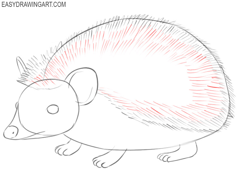how to draw a cute hedgehog easy 