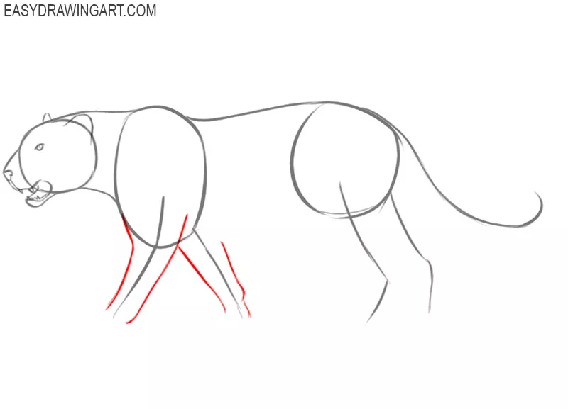 how to draw a cute leopard step by step