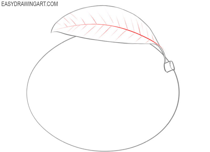 how to draw a cute mango