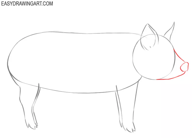 how to draw a cute pig step by step