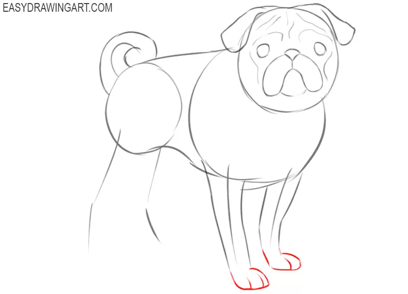 how to draw a cute pug dog