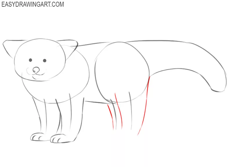 how to draw a cute red panda step by step