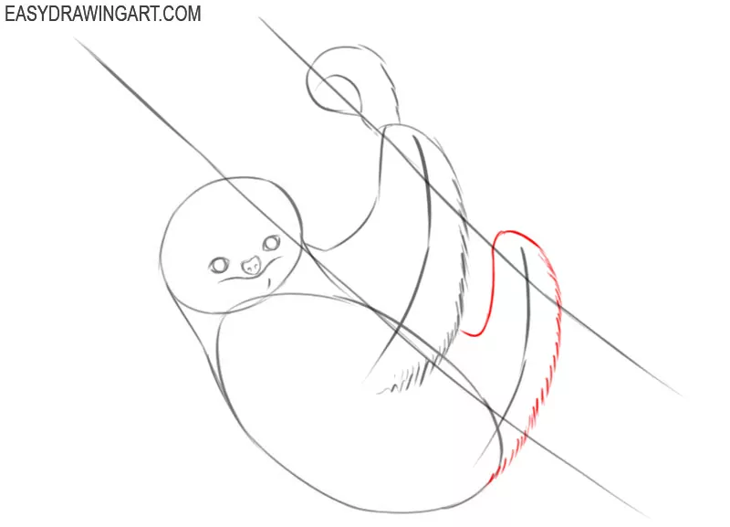 how to draw a cute sloth