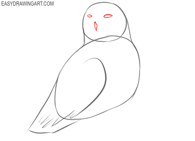 how to draw a cute snowy owl