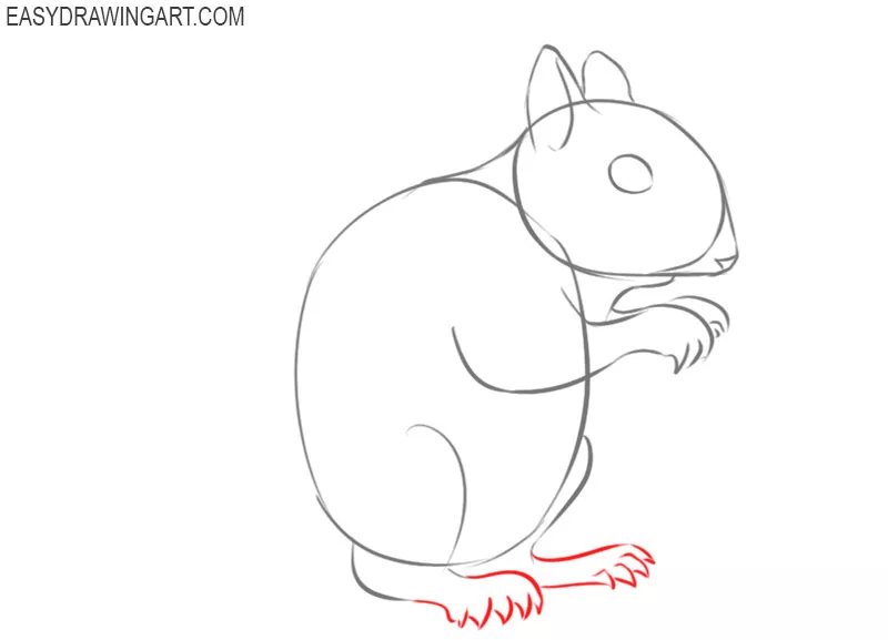 how to draw a cute squirrel easy