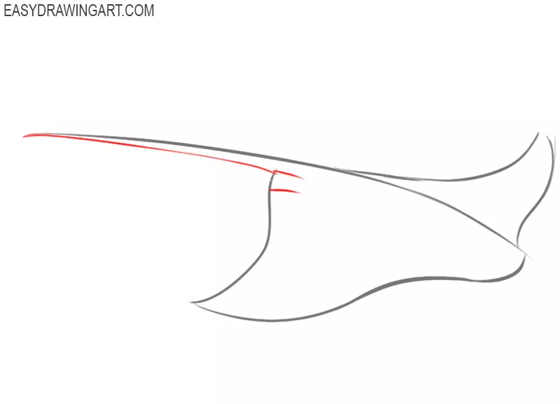 how to draw a cute stingray