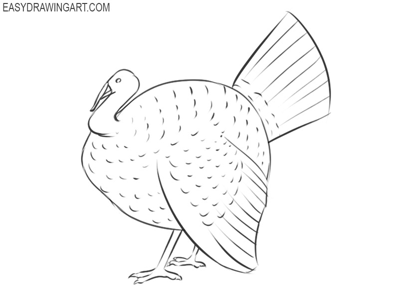 how to draw a cute turkey easy