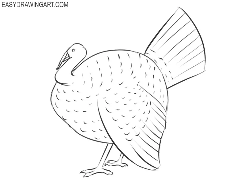Cartoon Turkey PNG Transparent Images Free Download  Vector Files  Pngtree