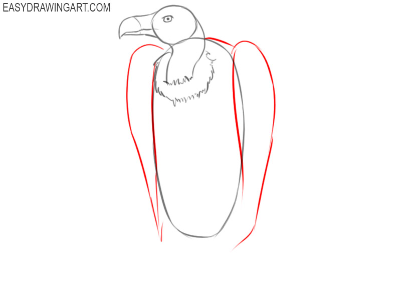 how to draw a cute vulture