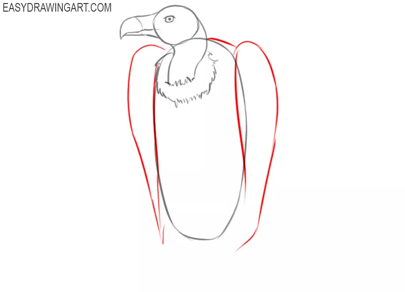 how to draw a cute vulture