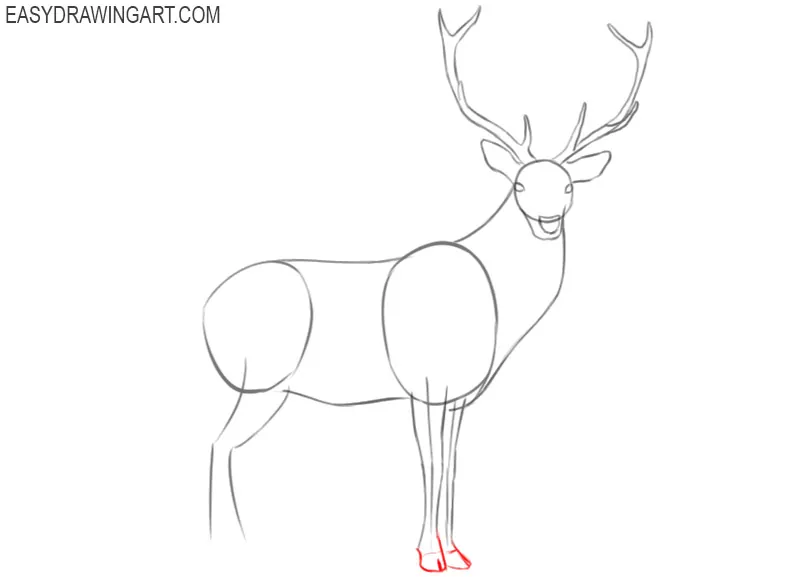 how to draw a deer easy step by step