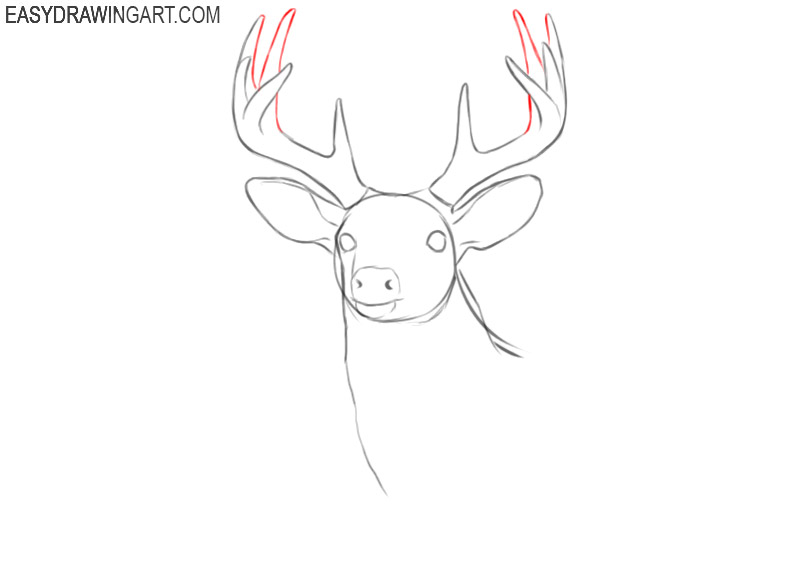 deer head drawing images
