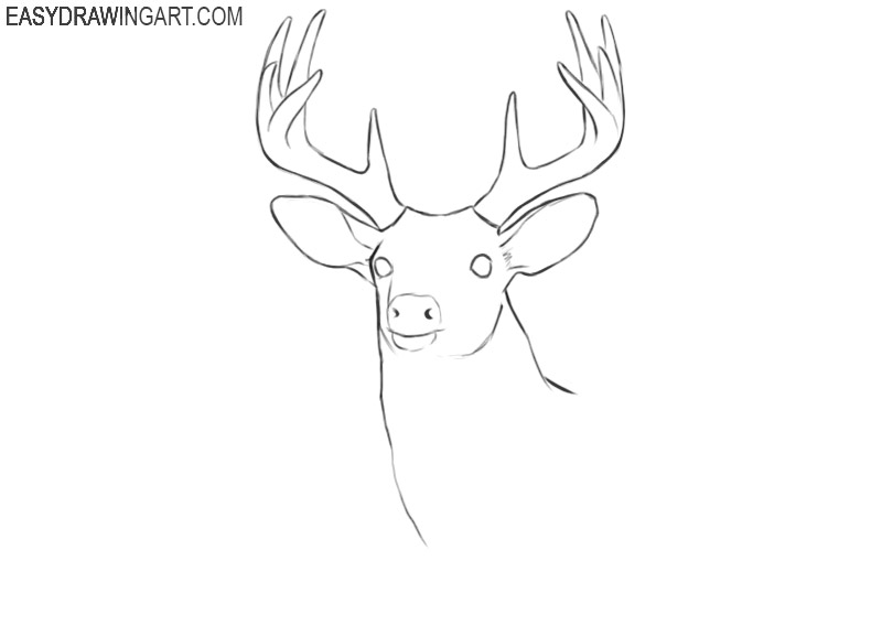 deer head drawing pictures