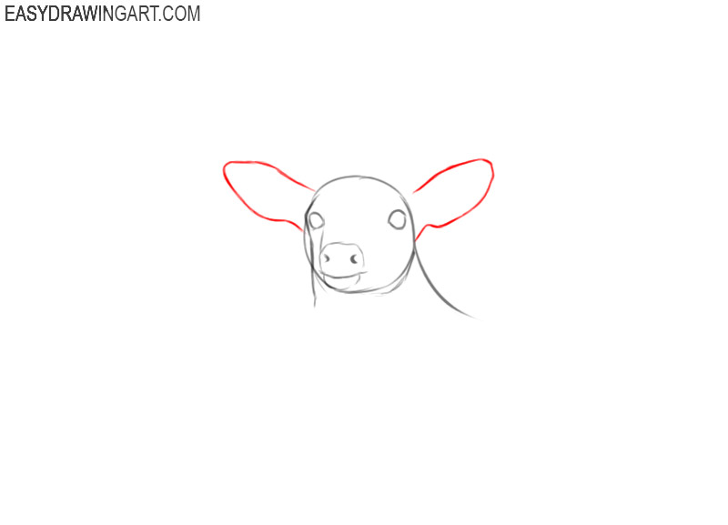 how to draw an easy deer head