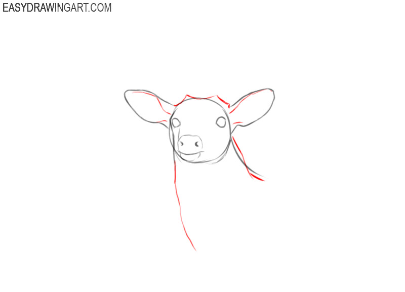 how to draw a deer head step by step