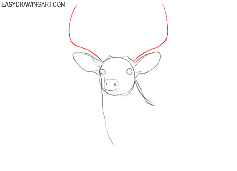 deer head drawing easy