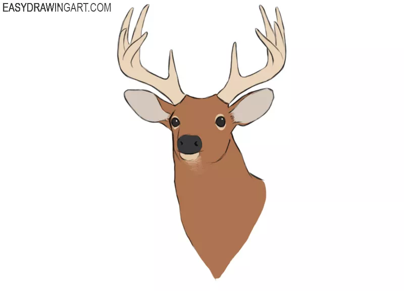 how to draw a deer head