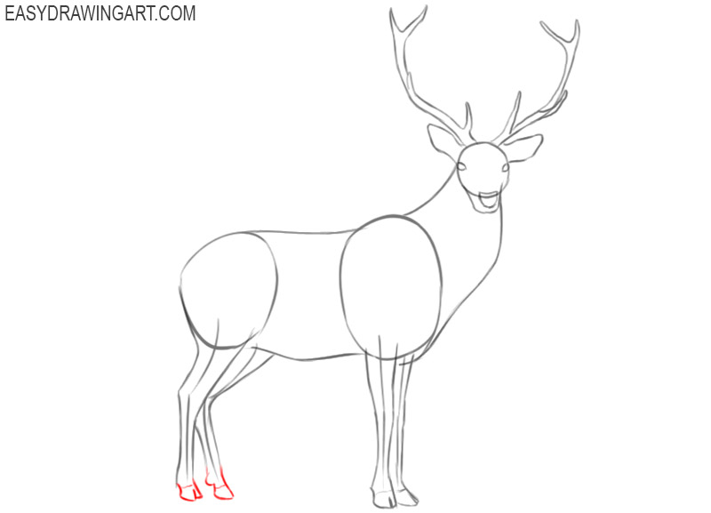 how to draw a deer in easy steps