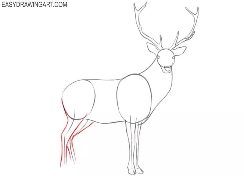 how to draw a deer in steps
