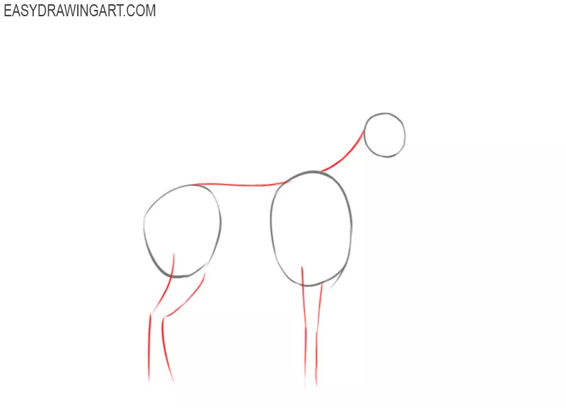 how to draw a deer step by step
