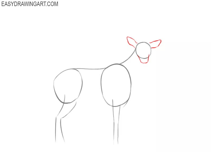 how to draw a deer step by step easy