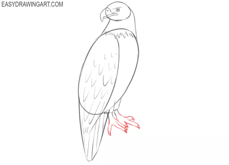 how to draw a desert eagle bird