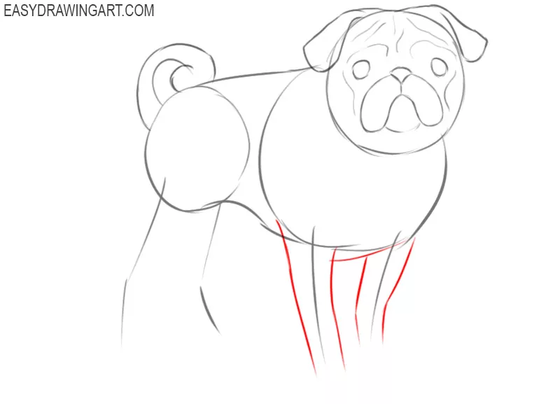 how to draw a detailed pug
