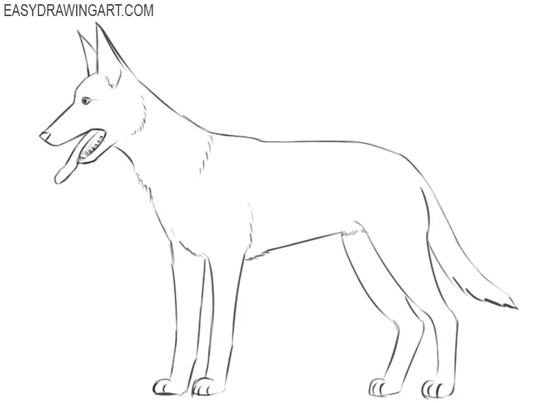 how to draw a dog easy way