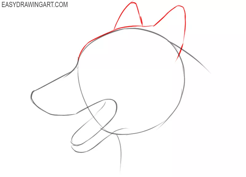 how to draw a simple dog face