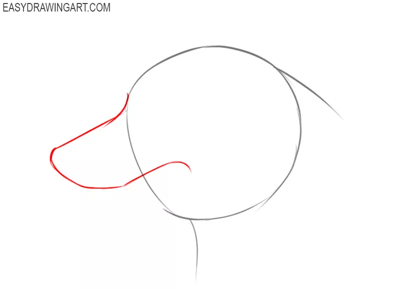 how to draw a dog face easy