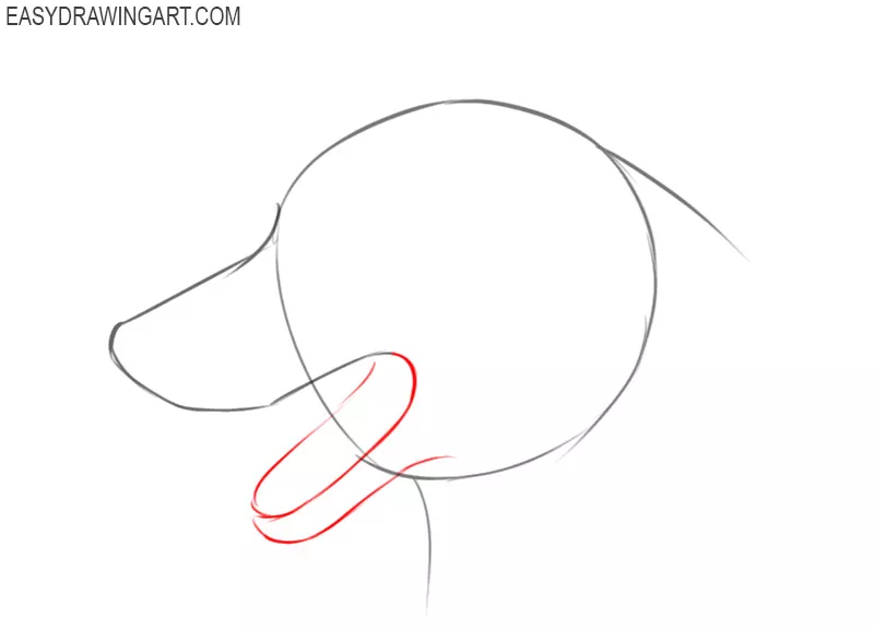 how to draw a dog face simple