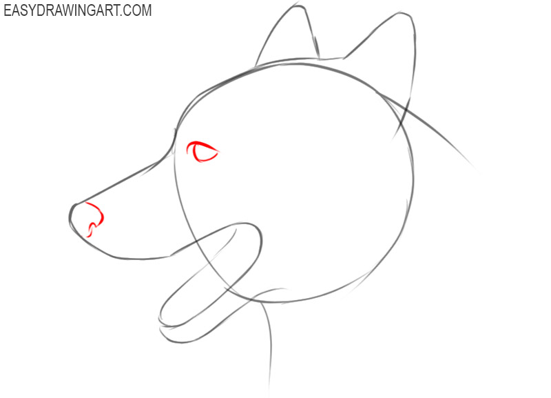 how to draw a dog face step by step easy
