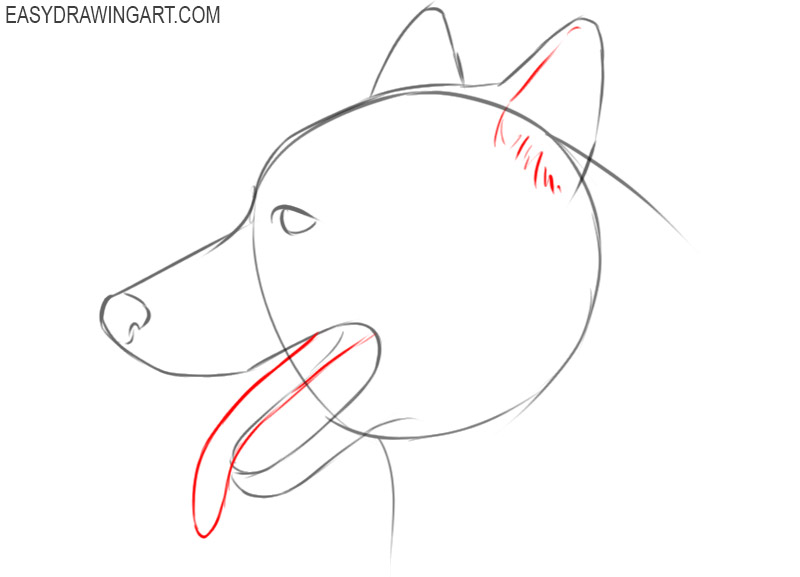 how to draw a cute dog face step by step