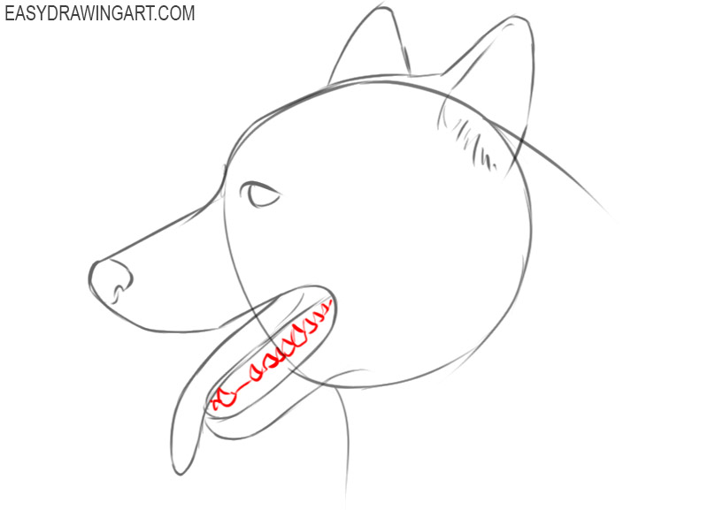 how to draw a cute dog face 
