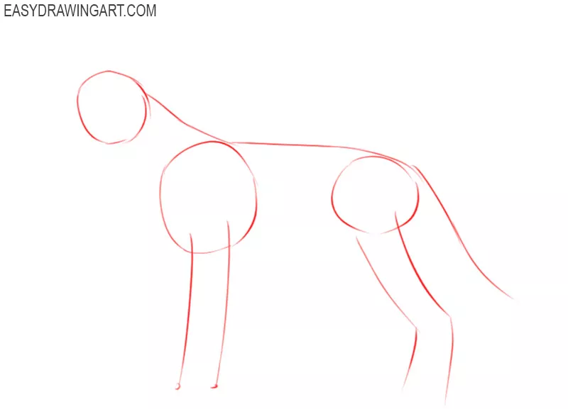 how to draw a dog easy