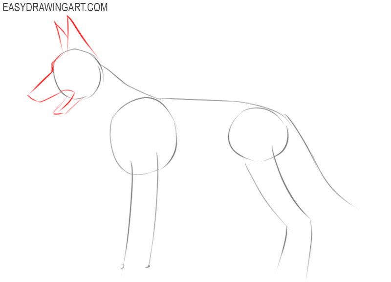 how to draw a dog step by step easy
