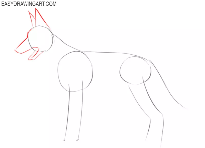 how to draw a dog step by step easy
