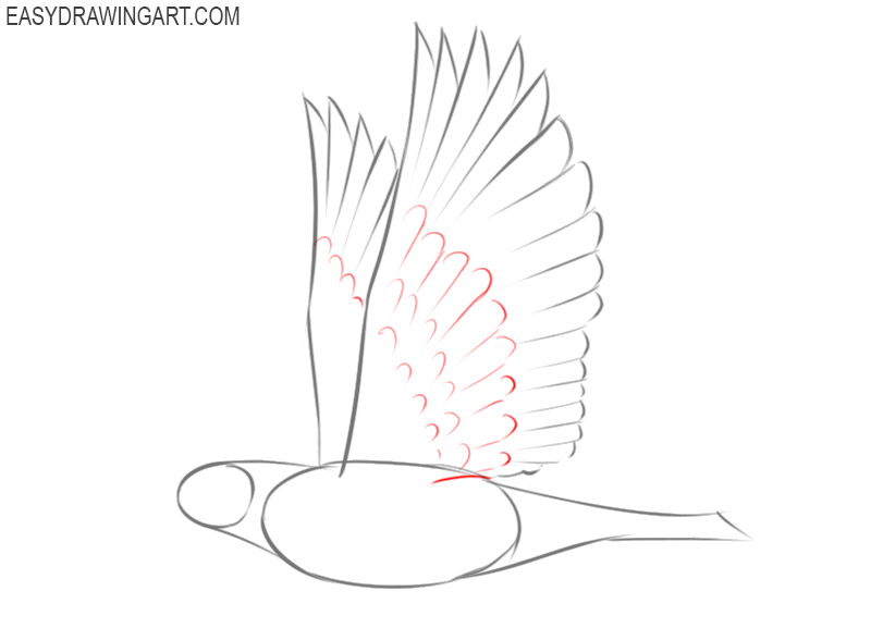 how to draw a dove easy