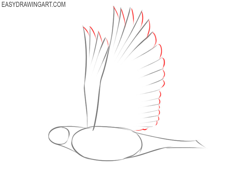 how to draw a dove flying step by step