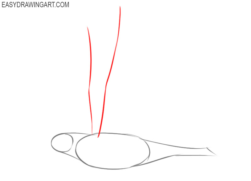 how to draw a dove simple