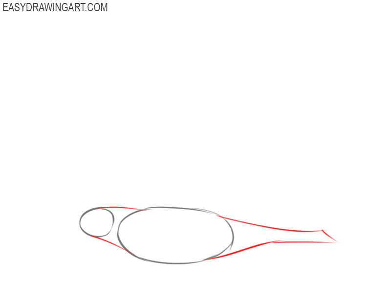 how to draw a dove flying