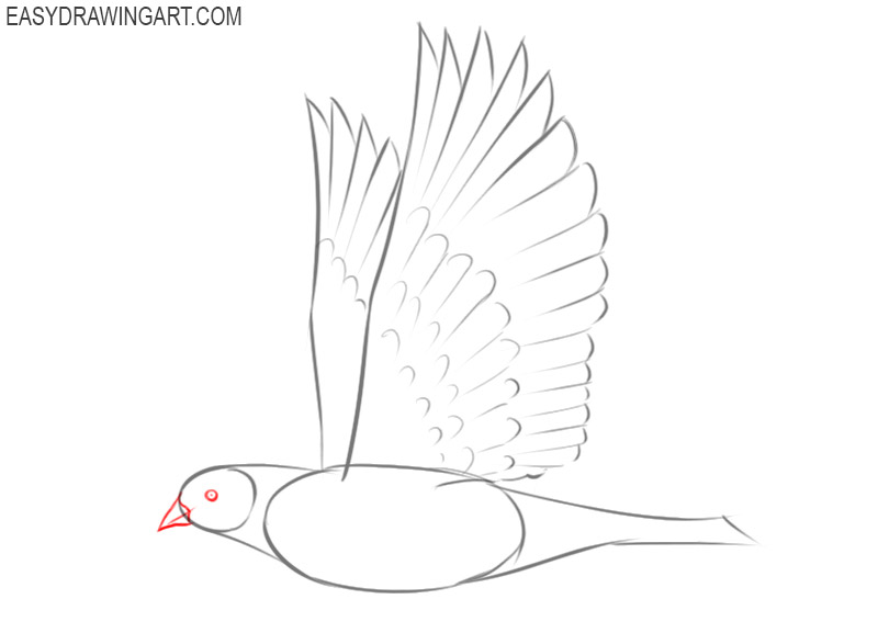 how to draw a cartoon dove