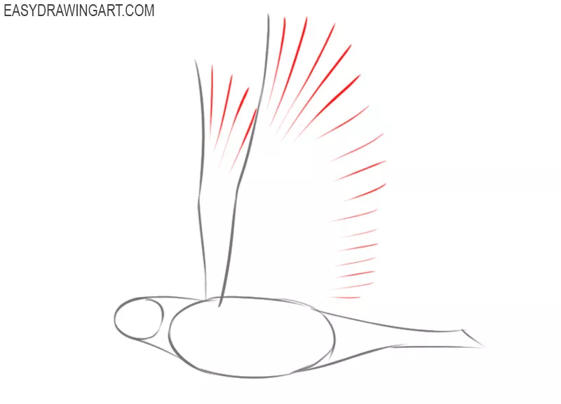how to draw a dove step by step easy