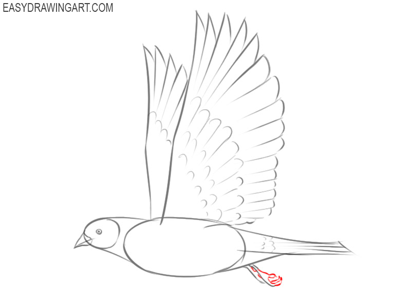 how to draw a dove super easy