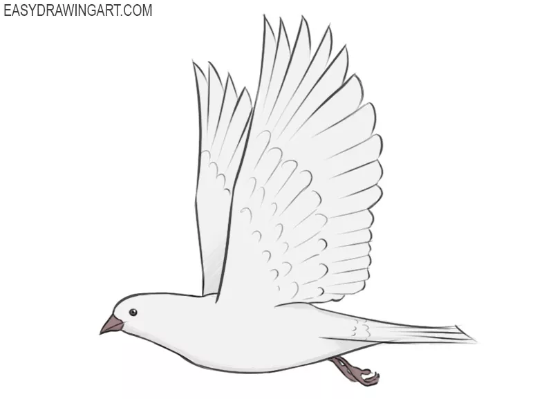 Colored hand drawing dove Royalty Free Vector Image