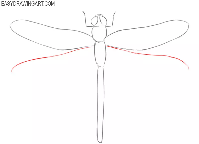 how to draw a dragonfly step by step for beginners