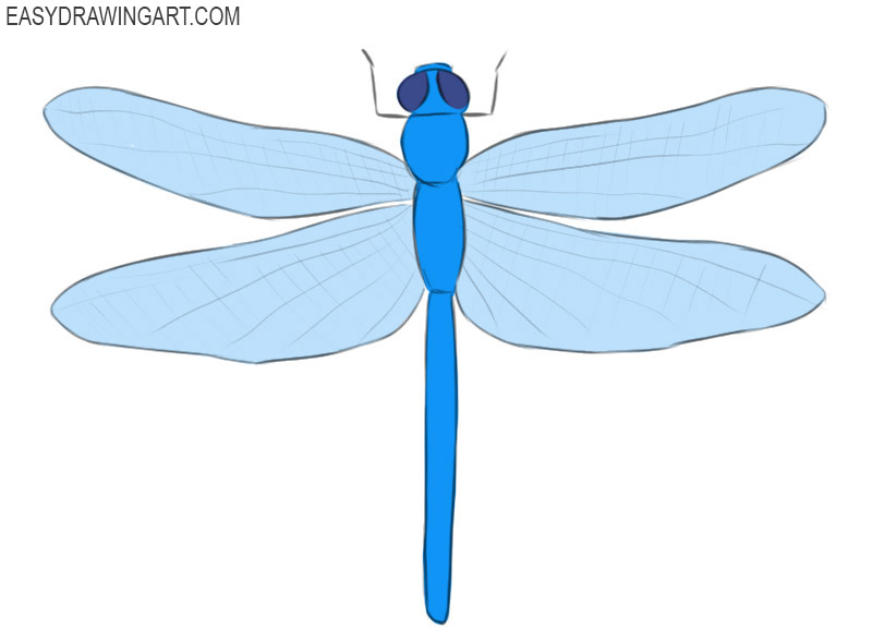 how to draw a dragonfly