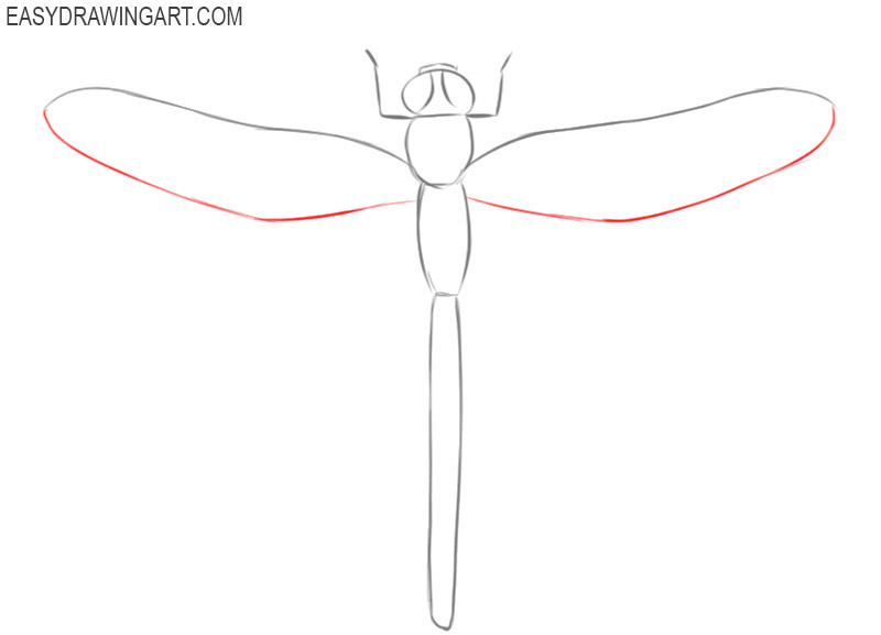 how to draw a dragonfly step by step