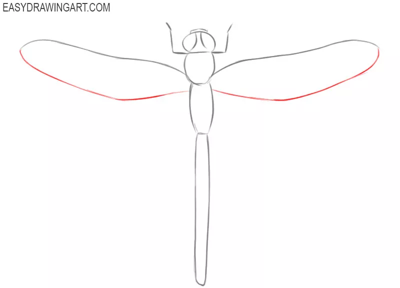 how to draw a dragonfly step by step