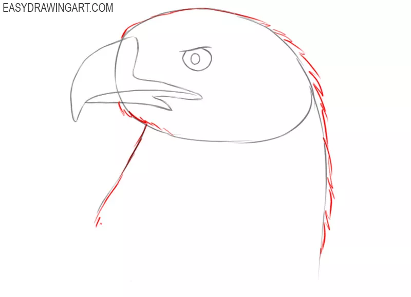 how to draw a eagle head step by step easy
